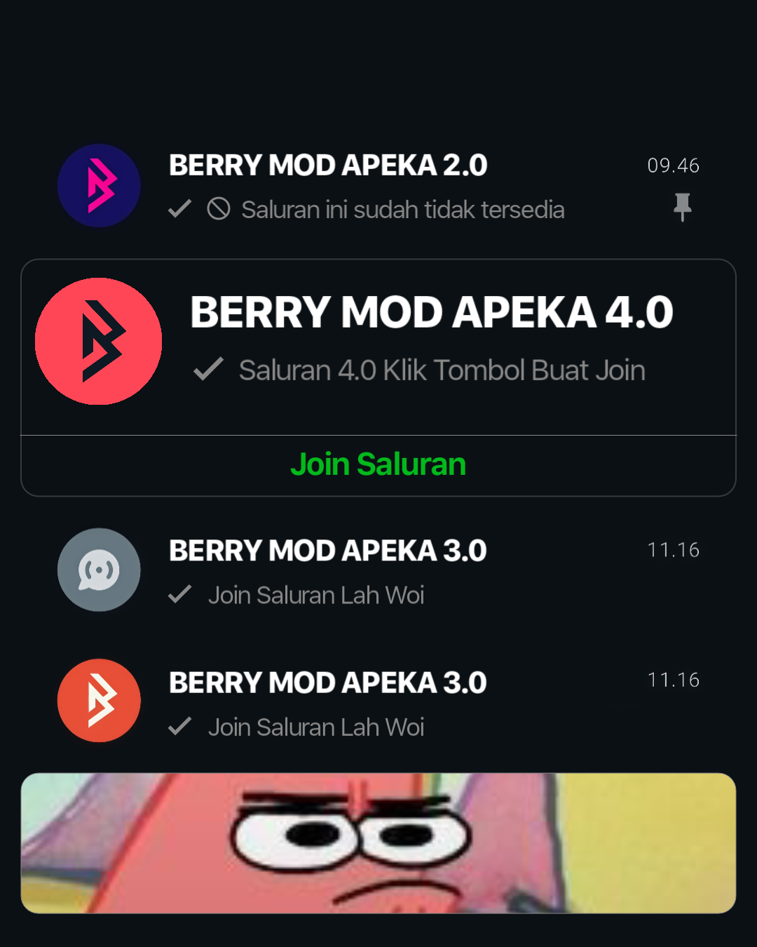 VIP Berry Mod